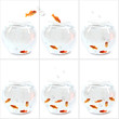 montage 6 bocaux à poissons rouges