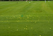 golf ball