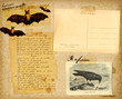 carte postale halloween
