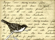 le moineau