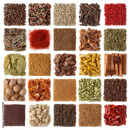 Photo: Indian spices collection Indian spices collection