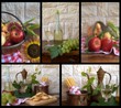 collage con alimenti