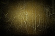 Close up of old leather texture