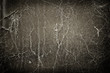 old leather texture