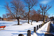 Foto: View of a park in winter View of a park in winter