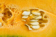 Particolare zucca sezionata