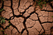 craquelures dans la boue, maroc craquelures dans la boue, maroc