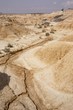 Bardenas