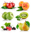 set fresh fruits with green leaves set fresh fruits with green leaves