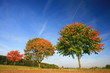 Photo: Herbst in Deutschland Herbst in Deutschland