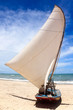 Sail Boat On A Brazilian Beach Sail Boat On A Brazilian Beach