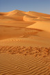 Empty Quarter Dunes