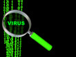 computer virus