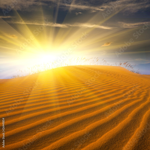 Fototapeta Sand in desert