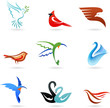 Vector: Different colorful birds Different colorful birds