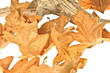 autumn abstract decoration