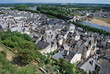 chinon