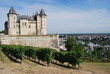 vignes du château