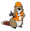 beaver OK (orange)
