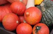 Légumes d'octobre