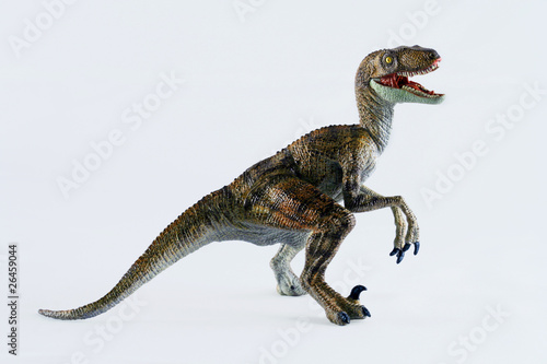 Photo: A Velociraptor Dinosaur Stands Against White A Velociraptor Dinosaur Stands Against White
