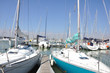 port de la Rochelle 8