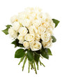 Cream roses Cream roses