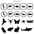 Pictogrammes animaux