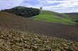 campo arato toscana