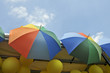 Photo: Regenbogenschirme Regenbogenschirme