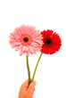 Photo: Happy birthday flowers hand Happy birthday flowers hand
