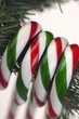 Candy Canes Hanging From Tree