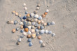 Foto: Sonne aus Muscheln Sonne aus Muscheln