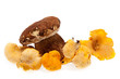 Boletes and chanterelle