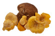 Steinpilz und Pfifferling