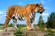 Zoo 170