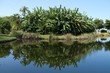 Reflection on a pond