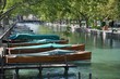 bateau bois acajou