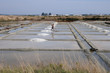 marais salants à Guérande en Bretagne