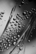drops