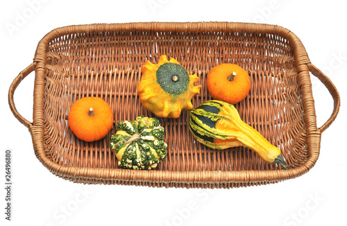 Edible Photo Transfers on Photo  Various Ornamental And Edible Squashes    Stanis  Aw Tokarski