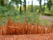 Sägestelle