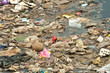 Wastewater, Garbage, Pollution, Bad Life