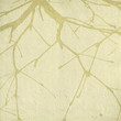 Geometric almond branch network Geometric almond branch network