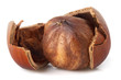 One hazelnut