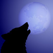 wolf silhouette howling to the full moon wolf silhouette howling to the full moon