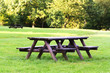 Picnic bench