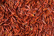 Red Chili Peppers Drying in the Sun Red Chili Peppers Drying in the Sun