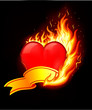 Love in fire