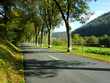 Landstrasse, Baumallee